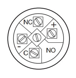 Verlichte Drukknop EAO Ring Geel - ∅ 19 mm Inox 304 240V - 82-5152.2144